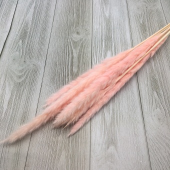 Сухоцвет (микс) 70см. Цена за связку Арт0909