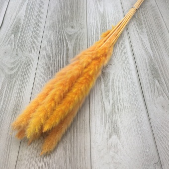 Сухоцвет (микс) 70см. Цена за связку Арт0909