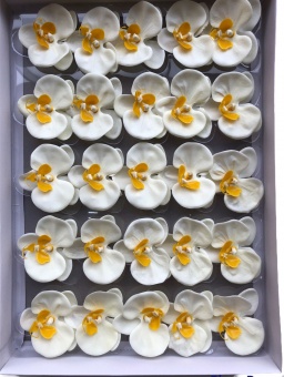 Орхидея из мыла. Шампань. 25 шт. 7 см. 