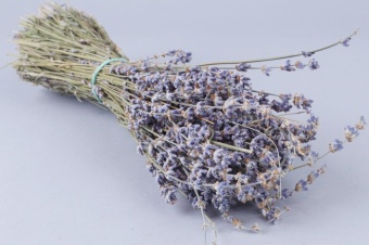 Лаванда натуральная 55см. Цена за связку. Арт0910