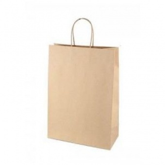 Пакет крафт с крученой ручкой 220*120*250мм 10 штук 