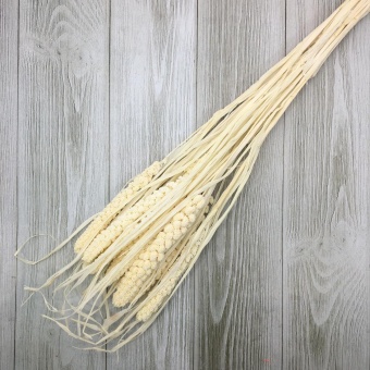 Сухоцвет (Микс) 60 см. Цена за связку. Арт01294