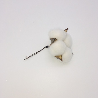 Веточка Хлопка. Белый. д7*в10см. Арт0905