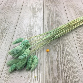 Сухоцвет (Микс) 65см. Цена за связку. Арт01295