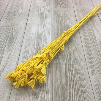 Сухоцвет (Микс) 55см. Цена за связку. Арт0911