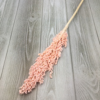 Сухоцвет (микс) 68см. Цена за штуку. Арт0908