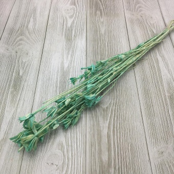 Сухоцвет (Микс) 55см. Цена за связку. Арт0911