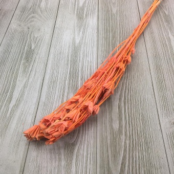 Сухоцвет (Микс) 55см. Цена за связку. Арт0911