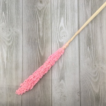 Сухоцвет (микс) 68см. Цена за штуку. Арт0908