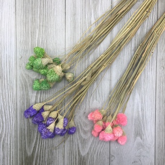 Сухоцветы Греция (Микс) 60см. Цена за связку. Арт01069